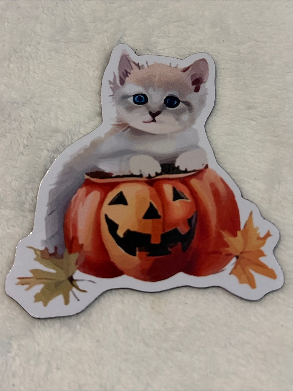 💜 MAGNETIC Sticker White Kitten on Pumkin